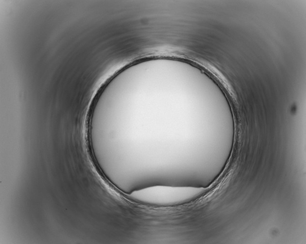 X0000100471285200806130746