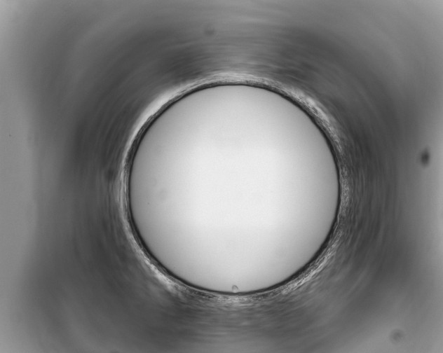 X0000100471286200806130746