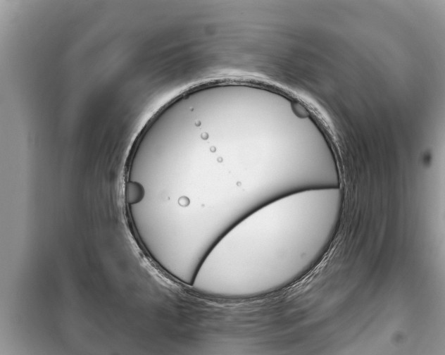 X0000100471287200806130746