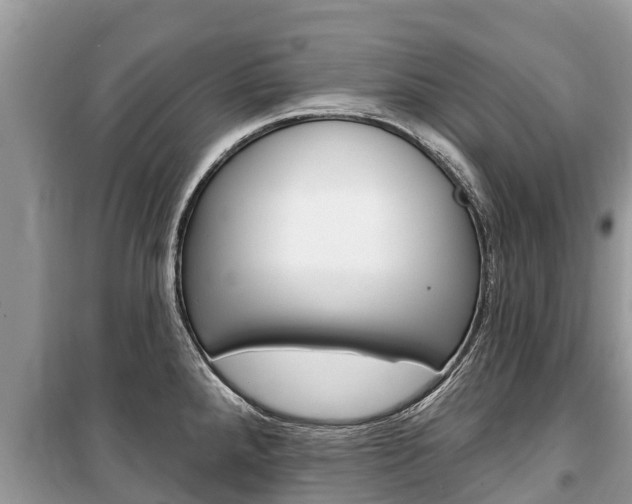 X0000100471288200806130746