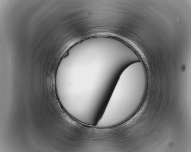 X0000100471289200806130746