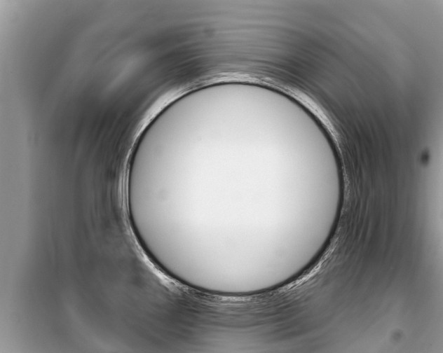 X0000100471290200806130746
