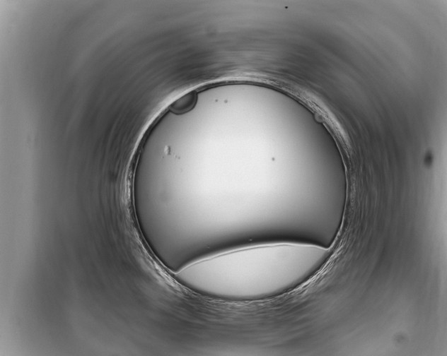 X0000100471292200806130746