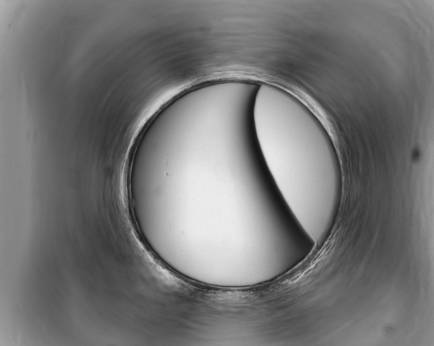 X0000100471293200806130746