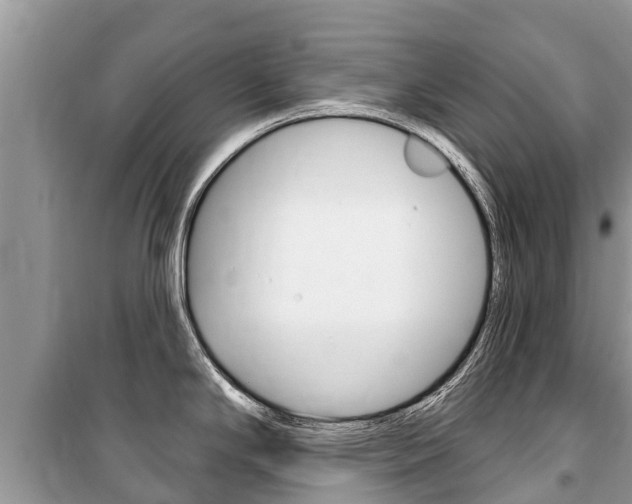X0000100471294200806130746