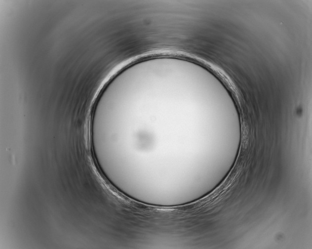 X0000100471295200806130746
