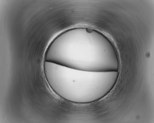X0000100471296200806130746