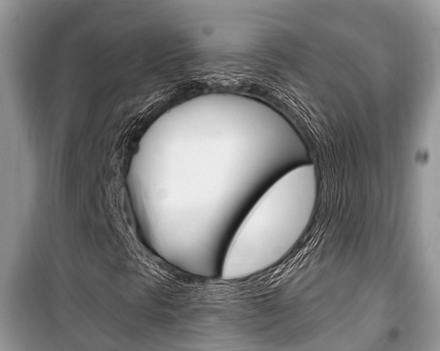 X0000100471297200806130745