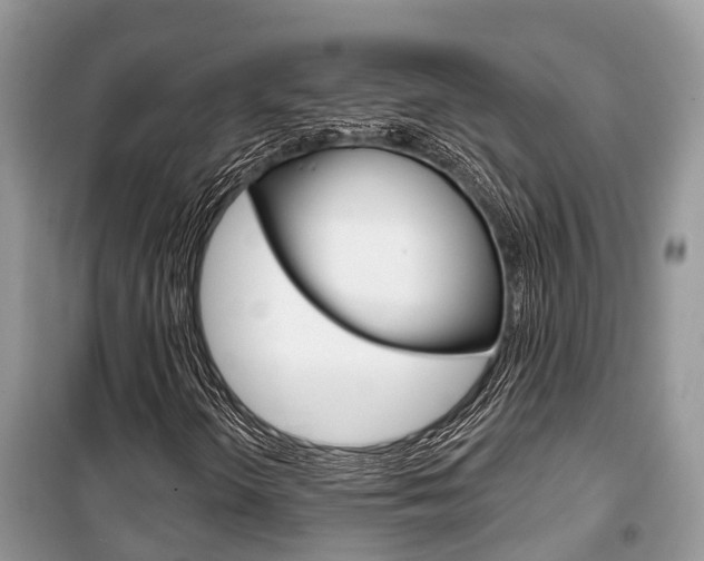 X0000100471298200806130745