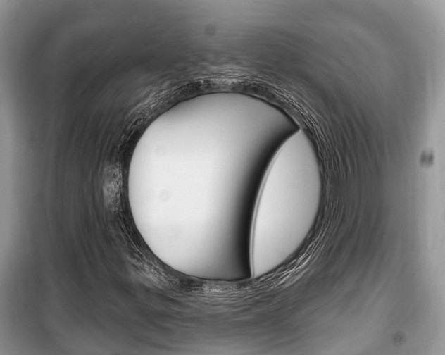 X0000100471299200806130746