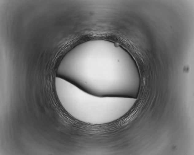 X0000100471300200806130746