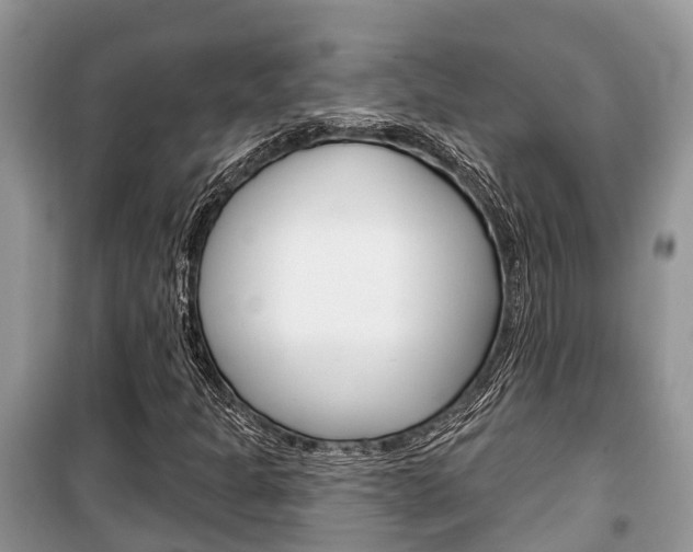 X0000100471301200806130746