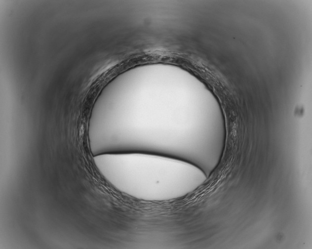 X0000100471302200806130746