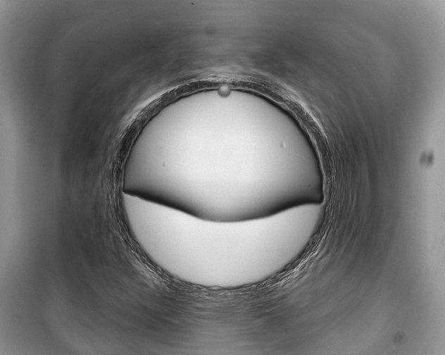 X0000100471304200806130746