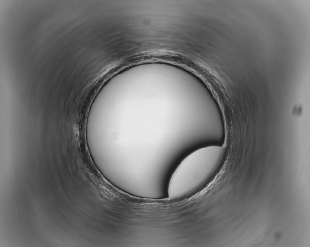 X0000100471305200806130746