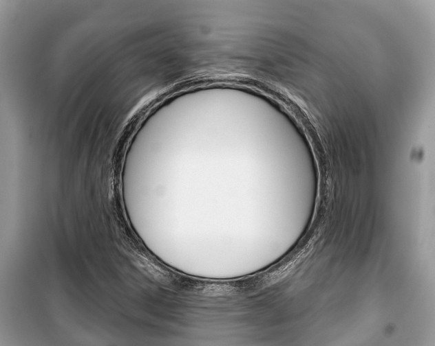 X0000100471306200806130746