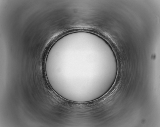 X0000100471307200806130746