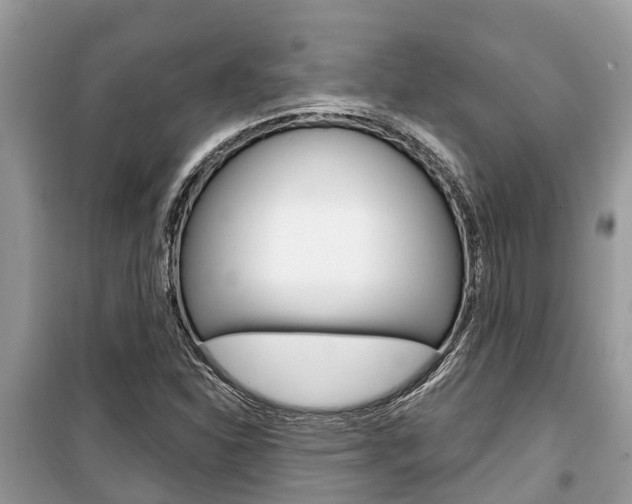 X0000100471310200806130746