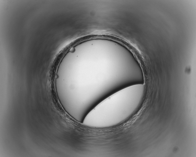 X0000100471311200806130746