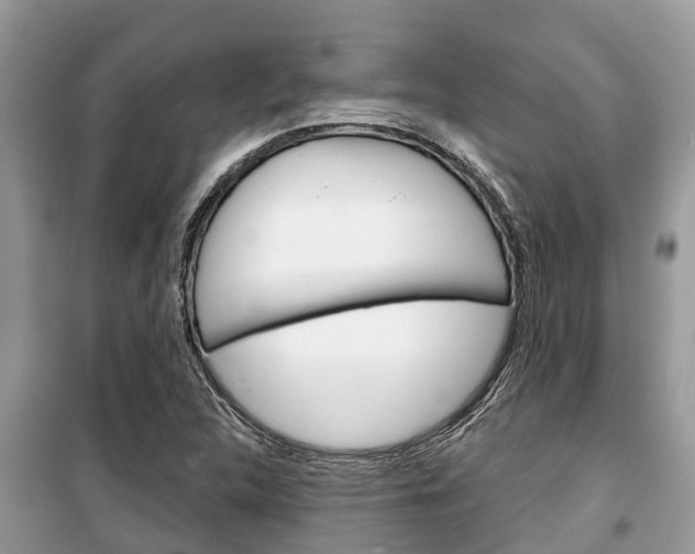 X0000100471312200806130746