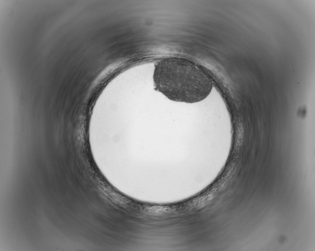 X0000100471314200806130746