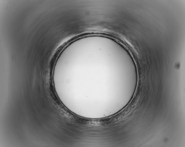 X0000100471315200806130746