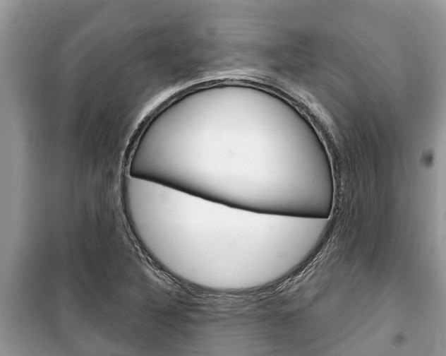 X0000100471316200806130746