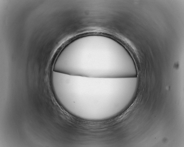 X0000100471318200806130746