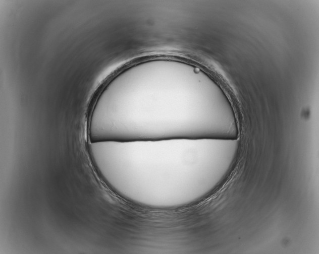 X0000100471320200806130746