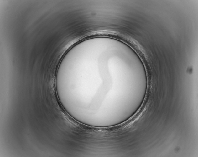 X0000100471321200806130746