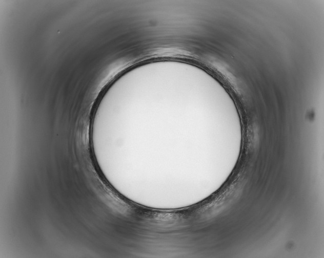 X0000100471322200806130746