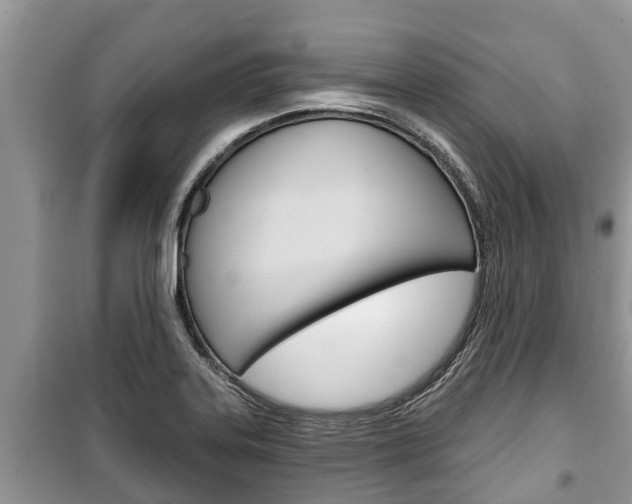 X0000100471323200806130746