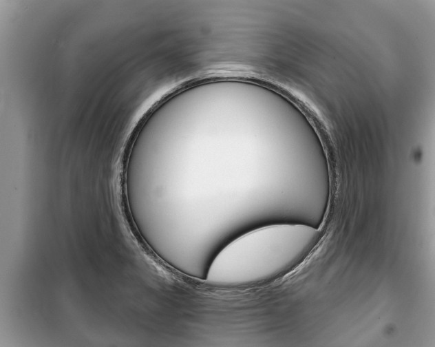 X0000100471325200806130746