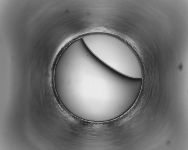 X0000100471326200806130746