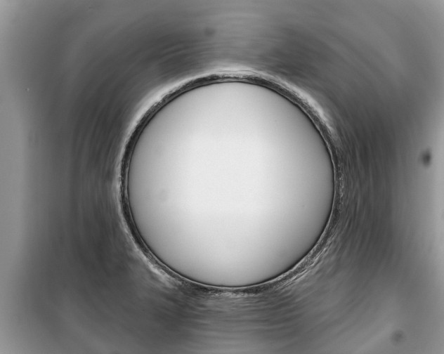 X0000100471327200806130746
