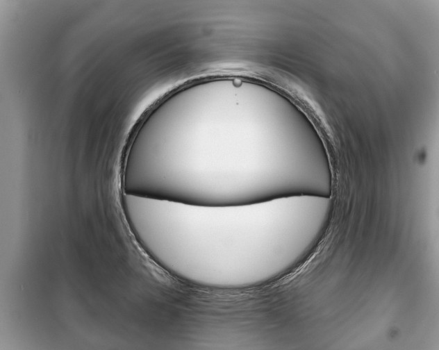 X0000100471328200806130746