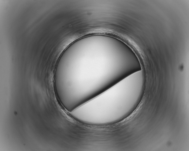 X0000100471329200806130746