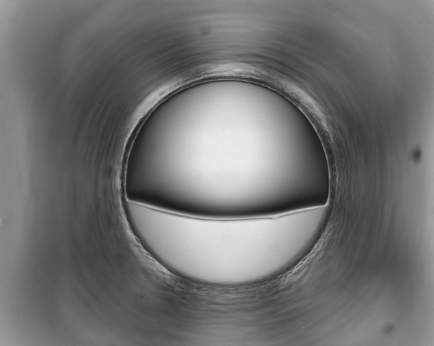 X0000100471330200806130746