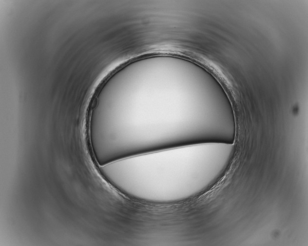 X0000100471331200806130746