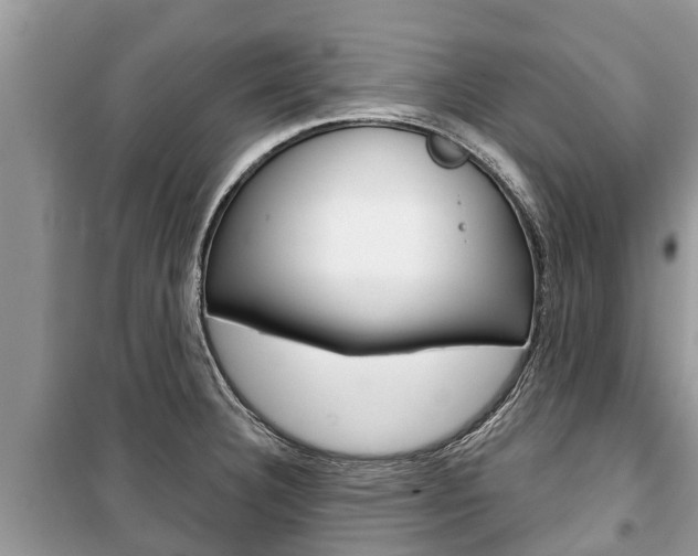 X0000100471332200806130746
