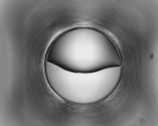 X0000100471334200806130746