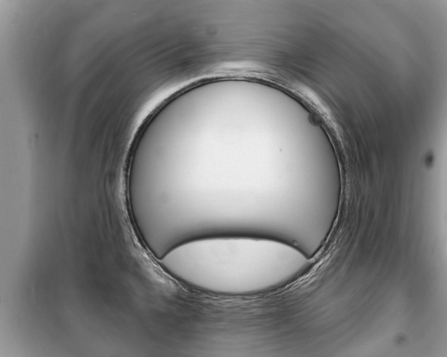 X0000100471336200806130746