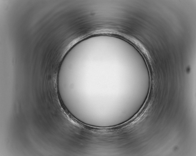 X0000100471337200806130746