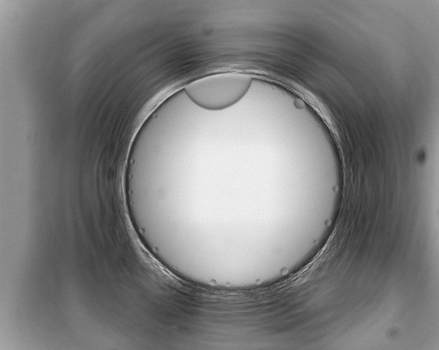 X0000100471338200806130746