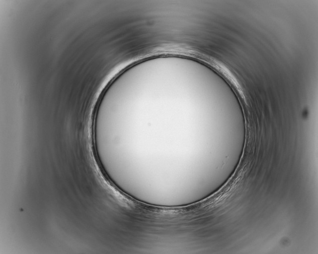X0000100471339200806130746