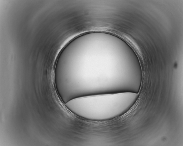 X0000100471340200806130746