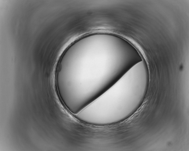 X0000100471341200806130746