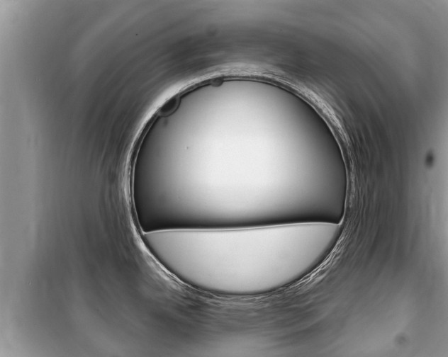 X0000100471342200806130746