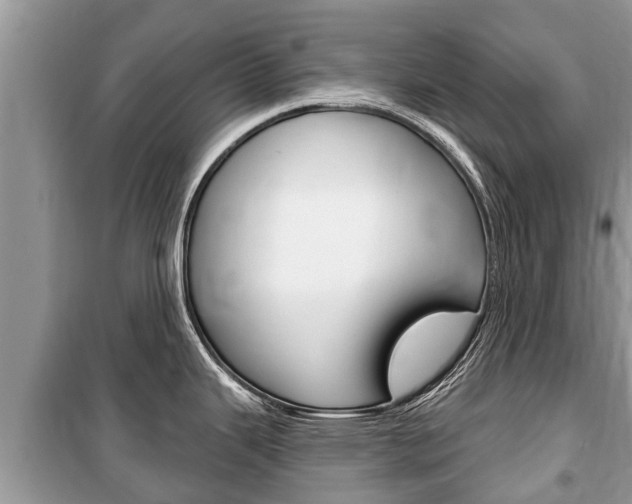 X0000100471343200806130746