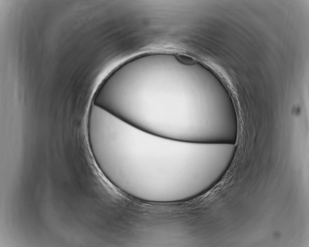 X0000100471344200806130746